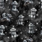 Caniche gris fond étoilé