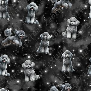 Caniche gris fond étoilé