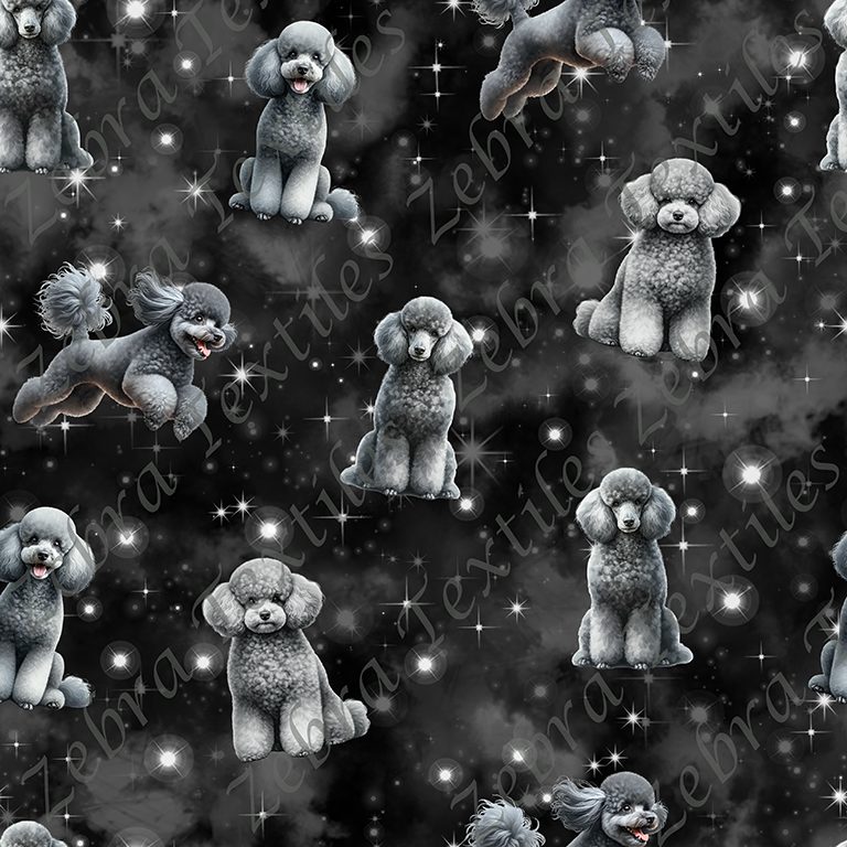Caniche gris fond étoilé
