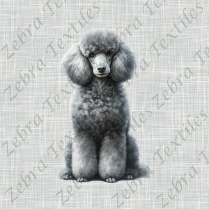 Caniche gris fond lin gris