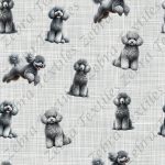 Caniche gris fond lin gris