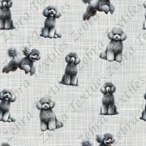Caniche gris fond lin gris