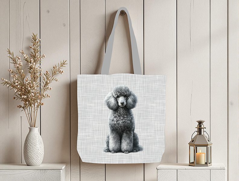 Caniche gris fond lin gris