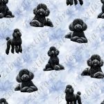 Caniche noir fond floral