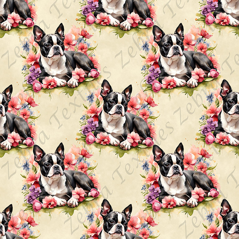Boston terrier couché floral fond crème