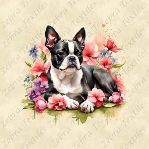 Boston terrier couché floral fond crème