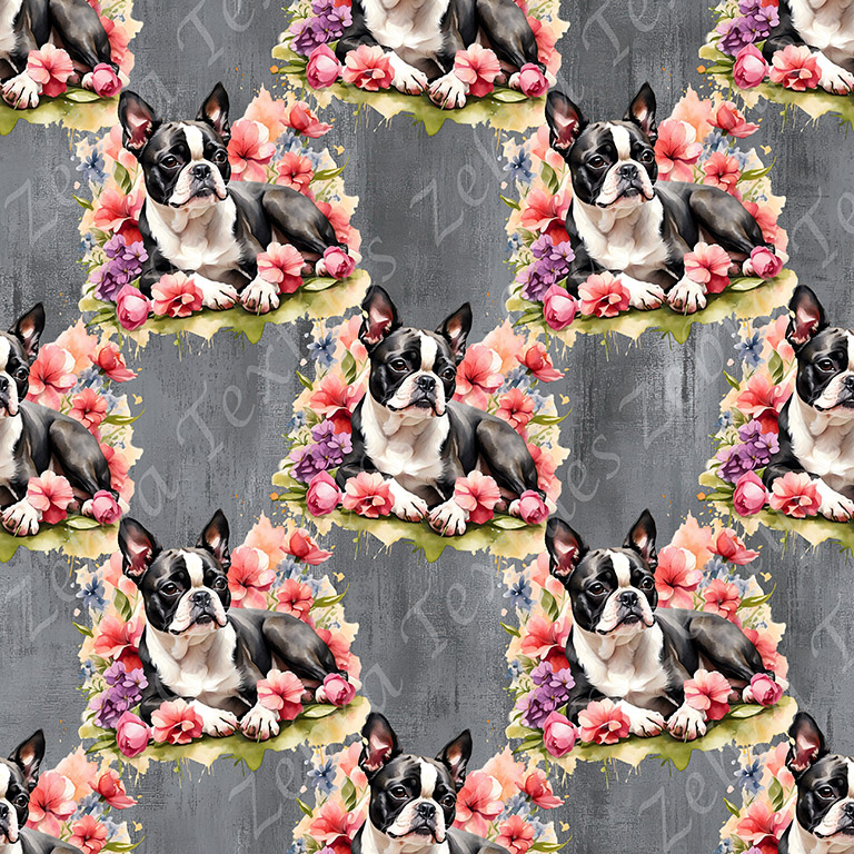 Boston terrier couché floral fond grunge