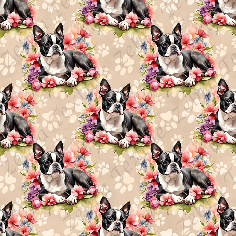 Boston terrier couché floral fond patte