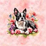 Boston terrier couché floral fond rose