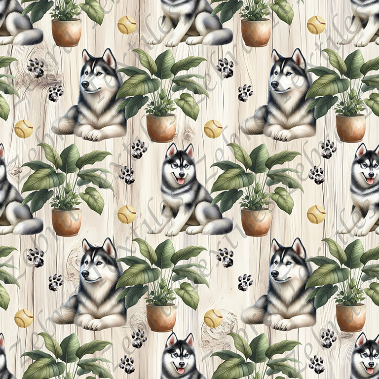 Husky et plante fond bois