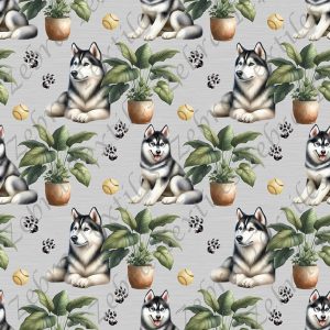 Husky et plante fond gris