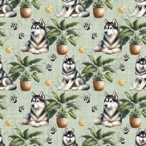 Husky et plante fond vert