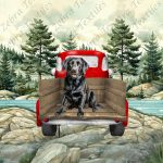 Labrador assit dans camion rouge