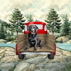 Labrador assit dans camion rouge