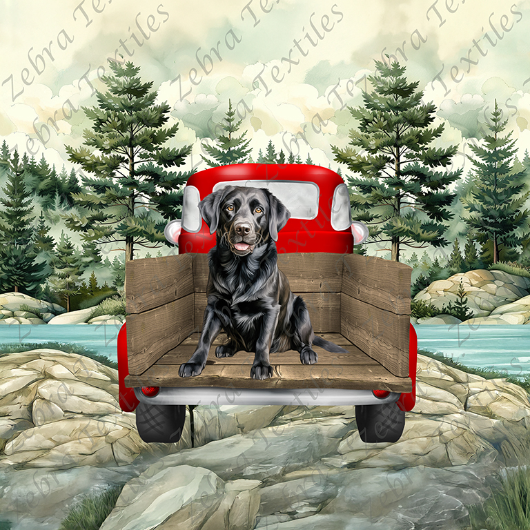 Labrador assit dans camion rouge