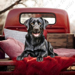Labrador camion rouge