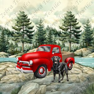Labrador et camion rouge