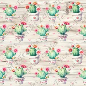 Cactus en pot fond bois