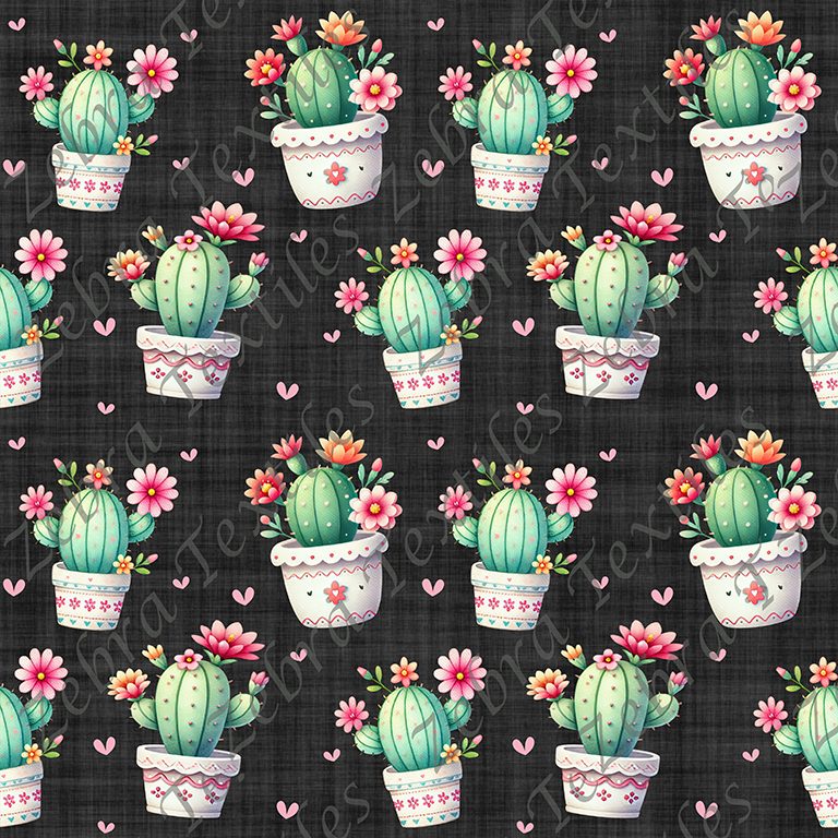 Cactus en pot fond noir
