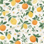 Citron et orange marguerite fond crème