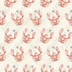 Homard aquarelle fond crème