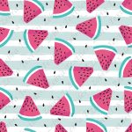 Melon d'eau et pépin fond rayé