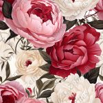 Pivoine crème et rose