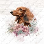 Teckel brun floral