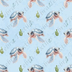 Tortue bleutée fond bleu