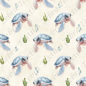 Tortue bleutée fond crème