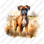 Boxer dans le champs