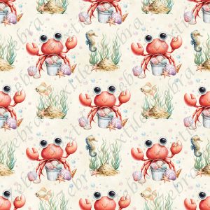 Crabe et coquillage fond crème