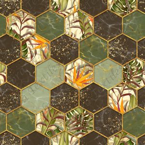 Hexagone tropical
