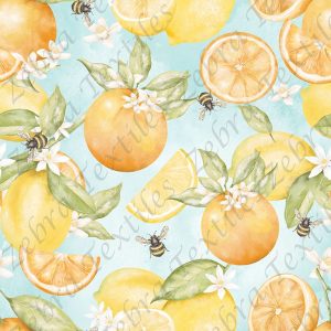 Orange et citron fond bleu