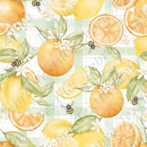 Orange et citron fond plaid