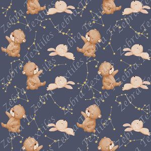 Ourson et constellation fond marine