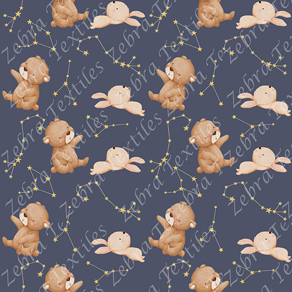 Ourson et constellation fond marine