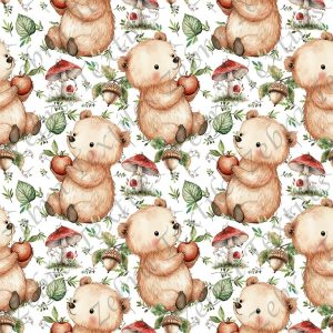 Ourson pomme fond blanc