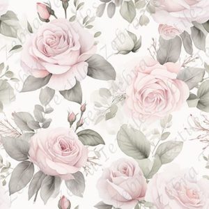 Rose et feuille fond blanc