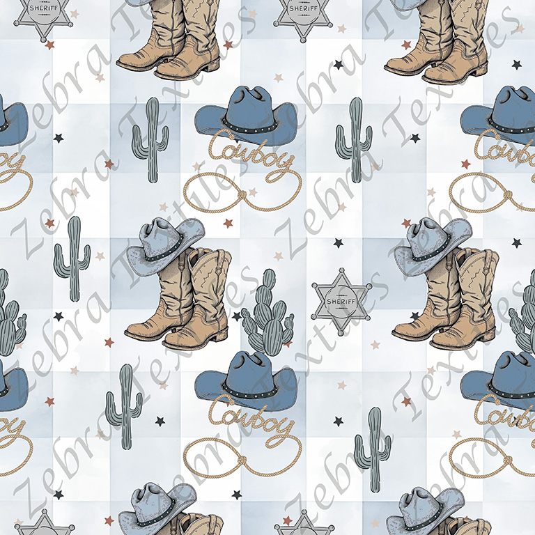 Western et chapeau bleu fond plaid