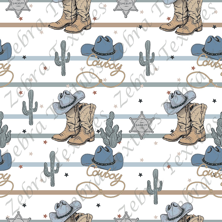 Western et chapeau bleu fond rayé