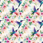 Colibris tropical