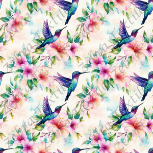 Colibris tropical