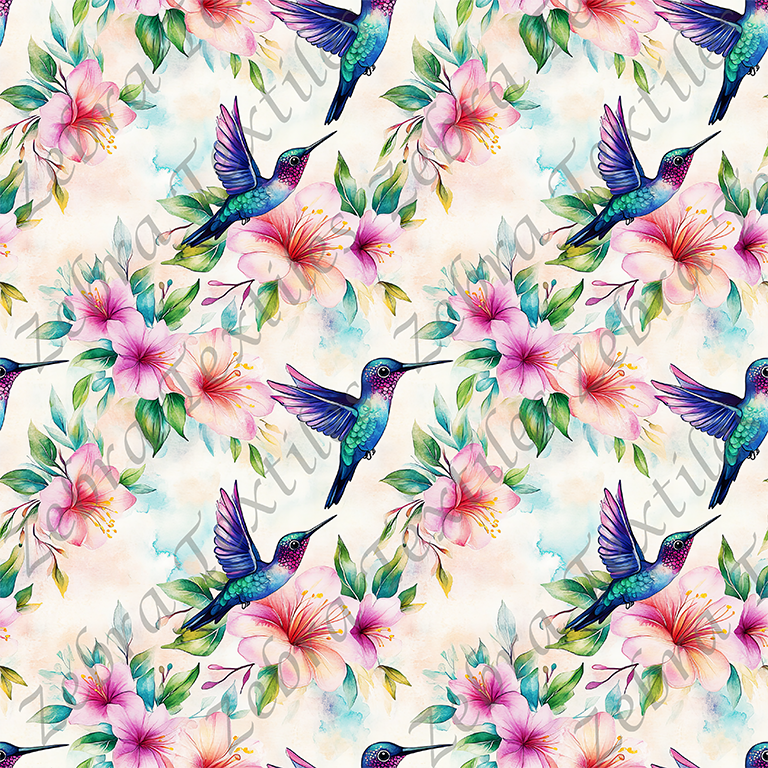 Colibris tropical