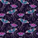 Papillon lune mauve aqua