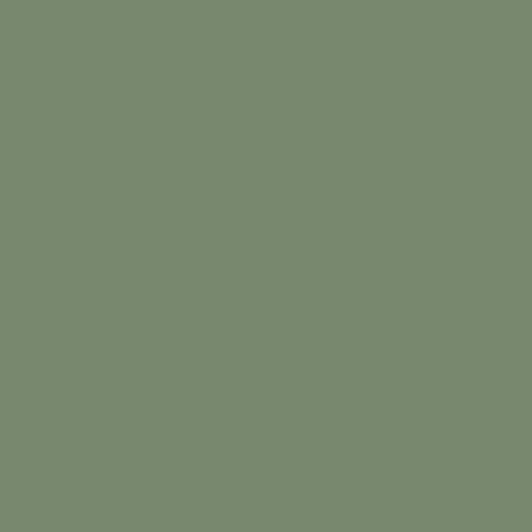 Coton lycra Perla knit eucalyptus 210gsm