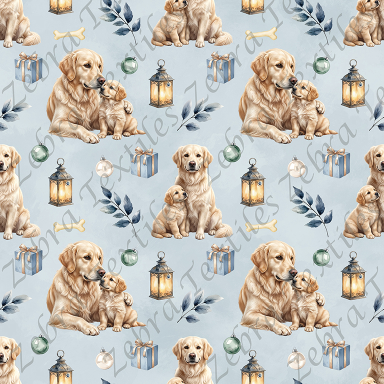 Golden blond cadeau bleu fond bleu