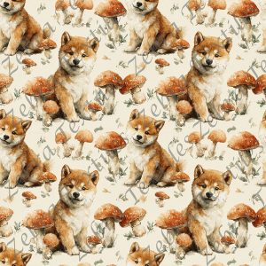 Shiba et champignon