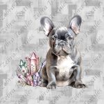 Bouledogue français assit et cristaux fond gris