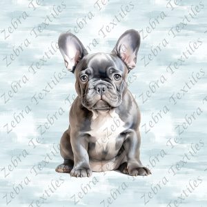 Bouledogue français assit fond bleu